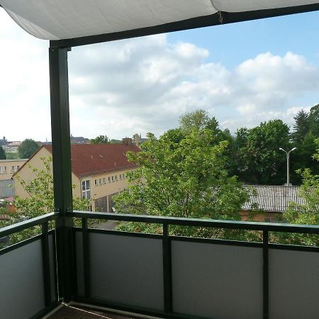 Fewo Dresden-Trachau Esterno foto